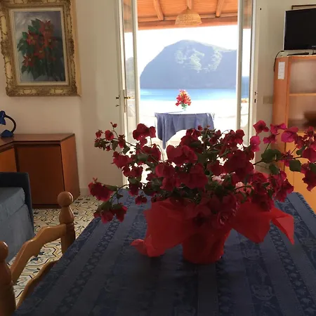 B Apartment